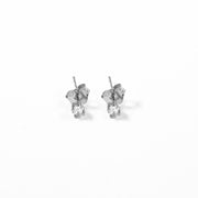 Earring Gio Silver 